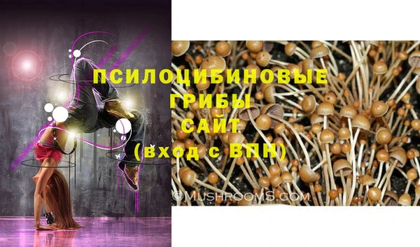 кокс Алексеевка