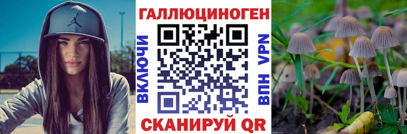 mega как войти  Сибай  Псилоцибиновые грибы Cubensis 